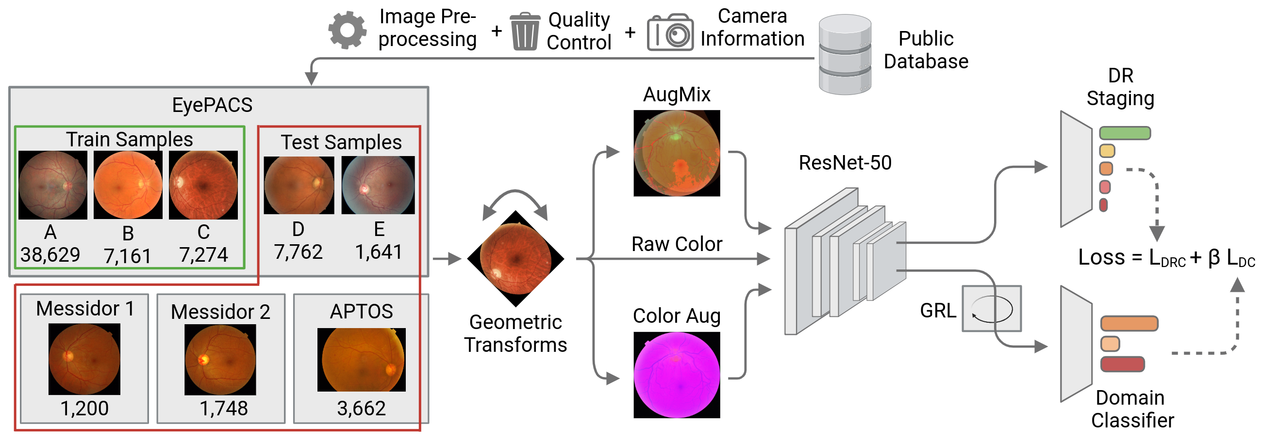 RADR: Robust Diabetic Retinopathy Classification